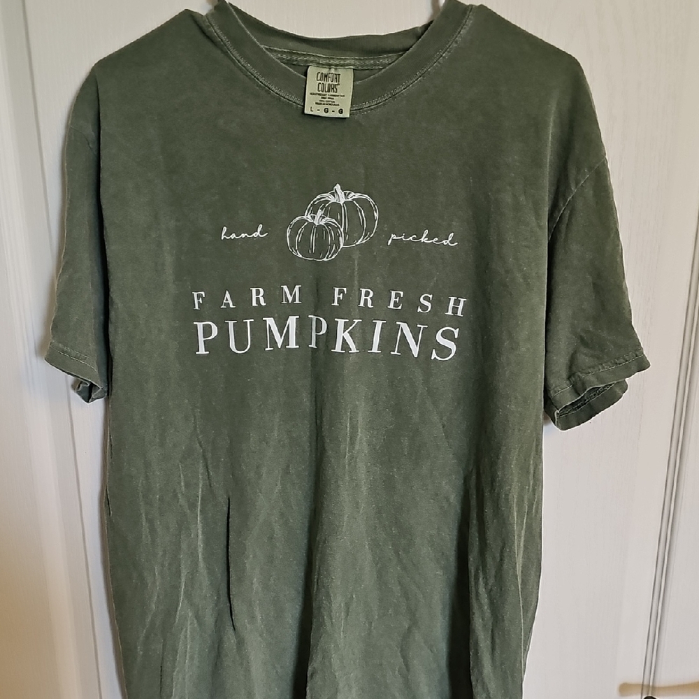 Comfort Colors Sage Green T-Shirt